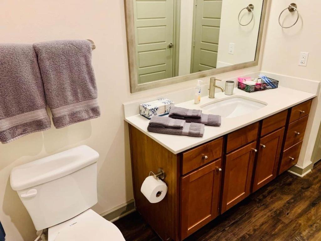 Downtown Apt Free Parking - Pool - Gym - Fully Kitchen Хьюстон Экстерьер фото