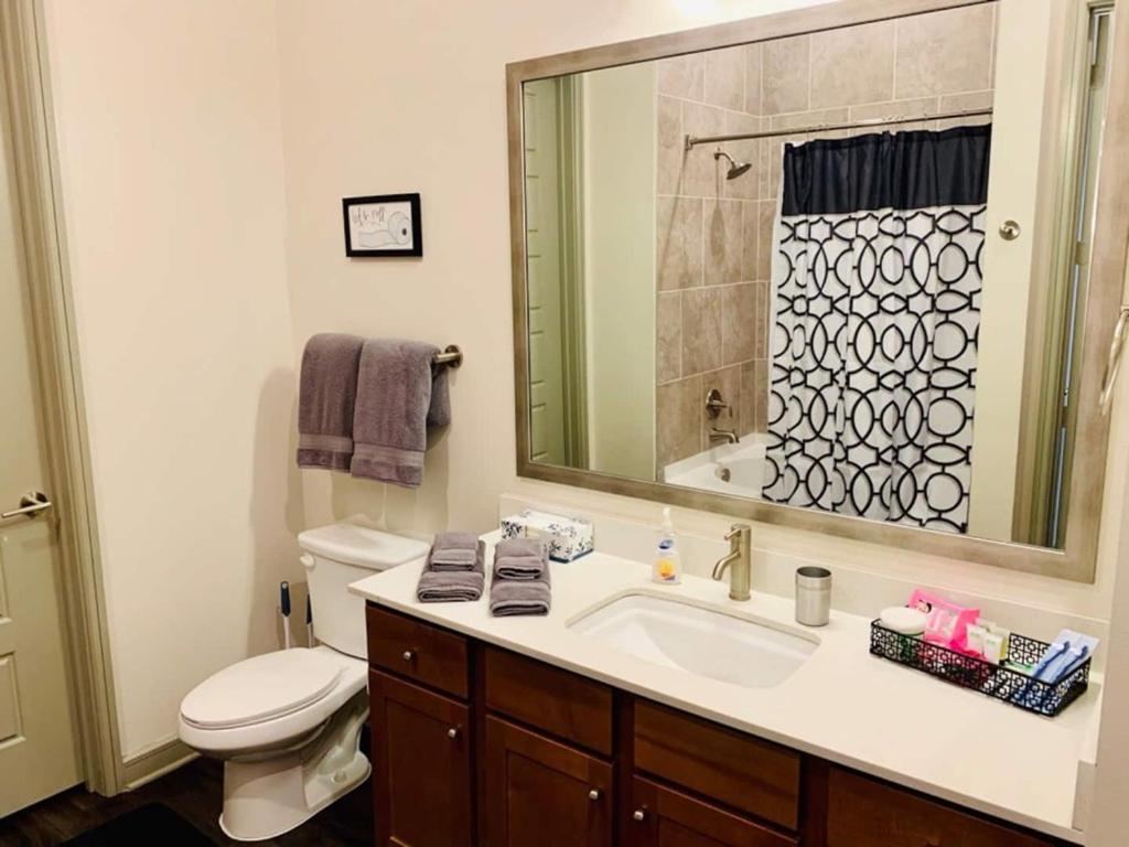 Downtown Apt Free Parking - Pool - Gym - Fully Kitchen Хьюстон Экстерьер фото